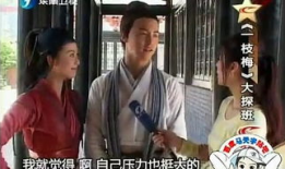 怪侠一枝梅电视剧,江湖传奇，侠骨柔情