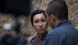 白鹿原电视剧哪个版本好看,经典再现，哪个版本更胜一筹？