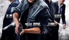 行动电视剧,揭秘特工世界，生死较量背后的忠诚与信仰