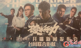 行动电视剧,揭秘特工世界，生死较量背后的忠诚与信仰