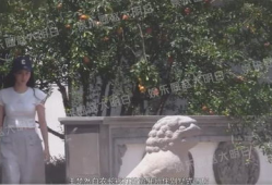 王楚然吃瓜爆料